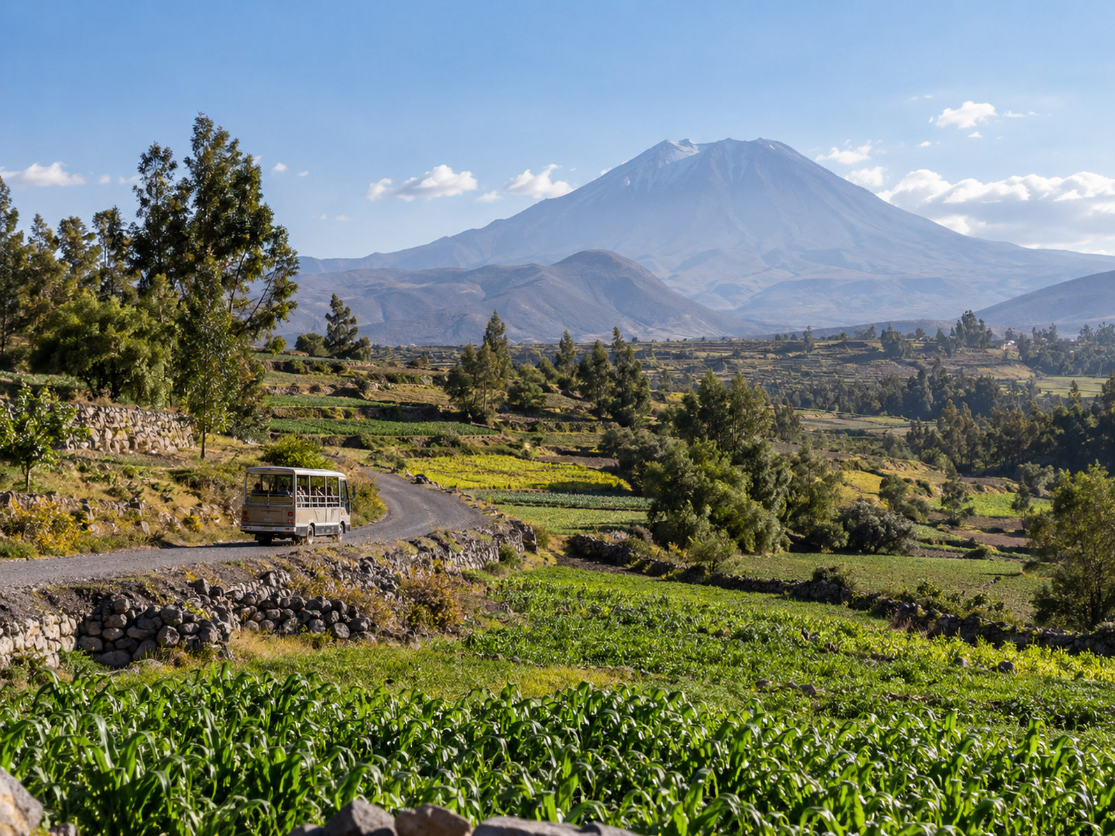 CAMPIÑA TOURS – MIRABUS