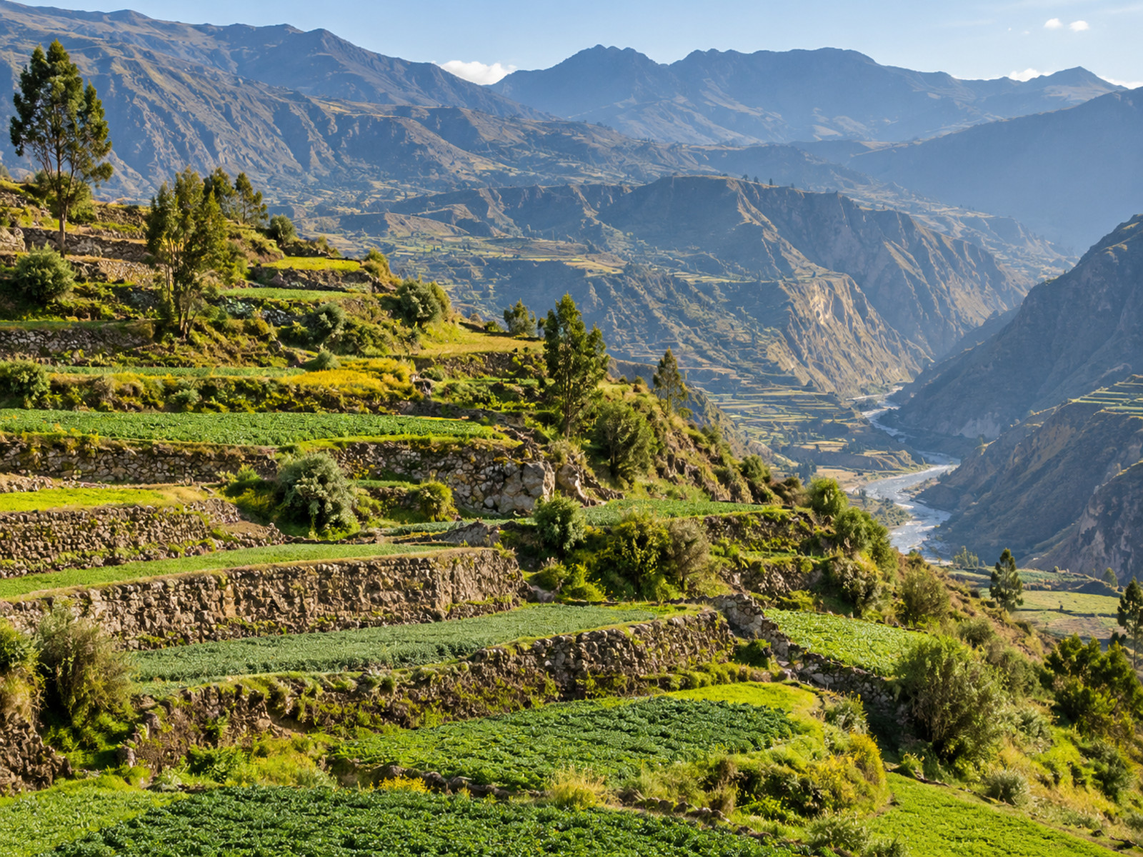 COLCA 2DIAS Y 1NOCHE