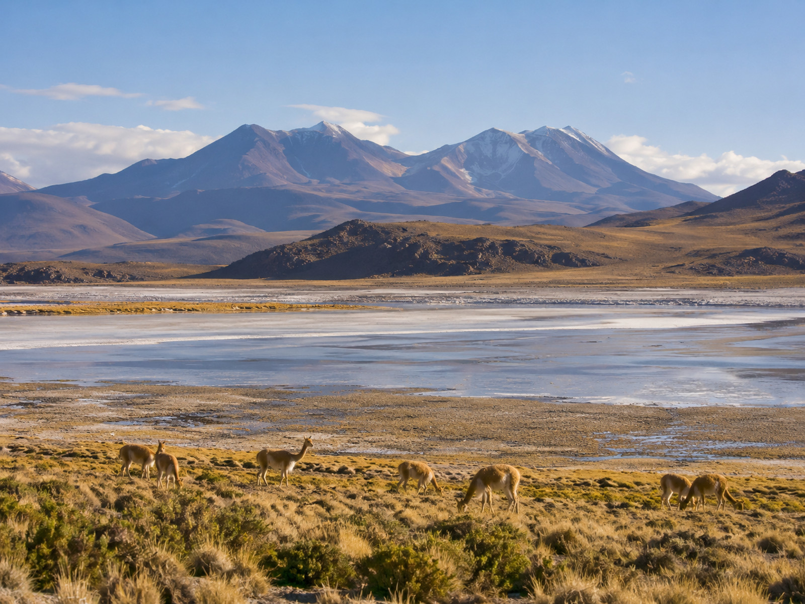RESERVA NACIONAL DE SALINAS Y AGUADA BLANCA