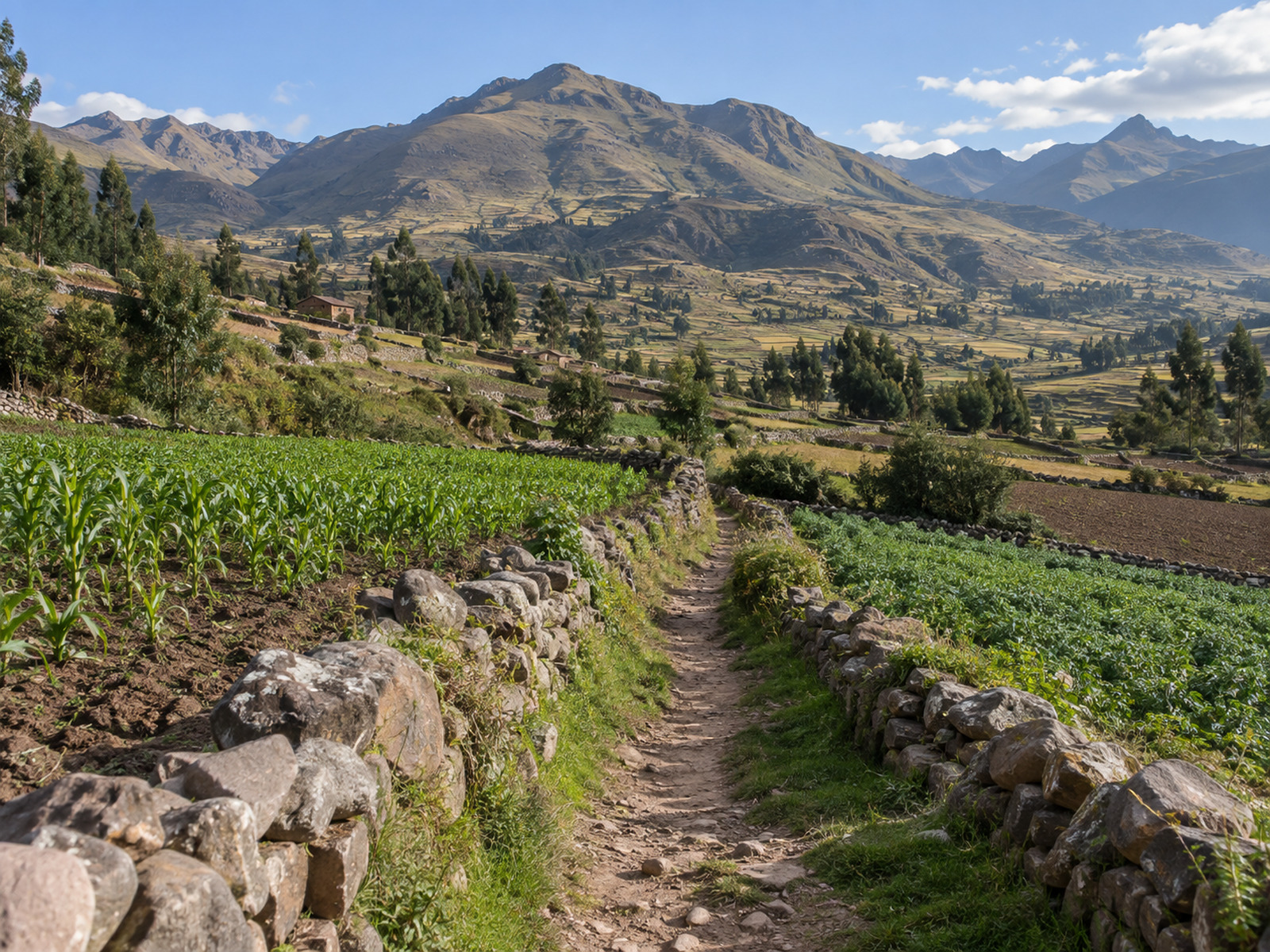VALLE SUR CUSCO
