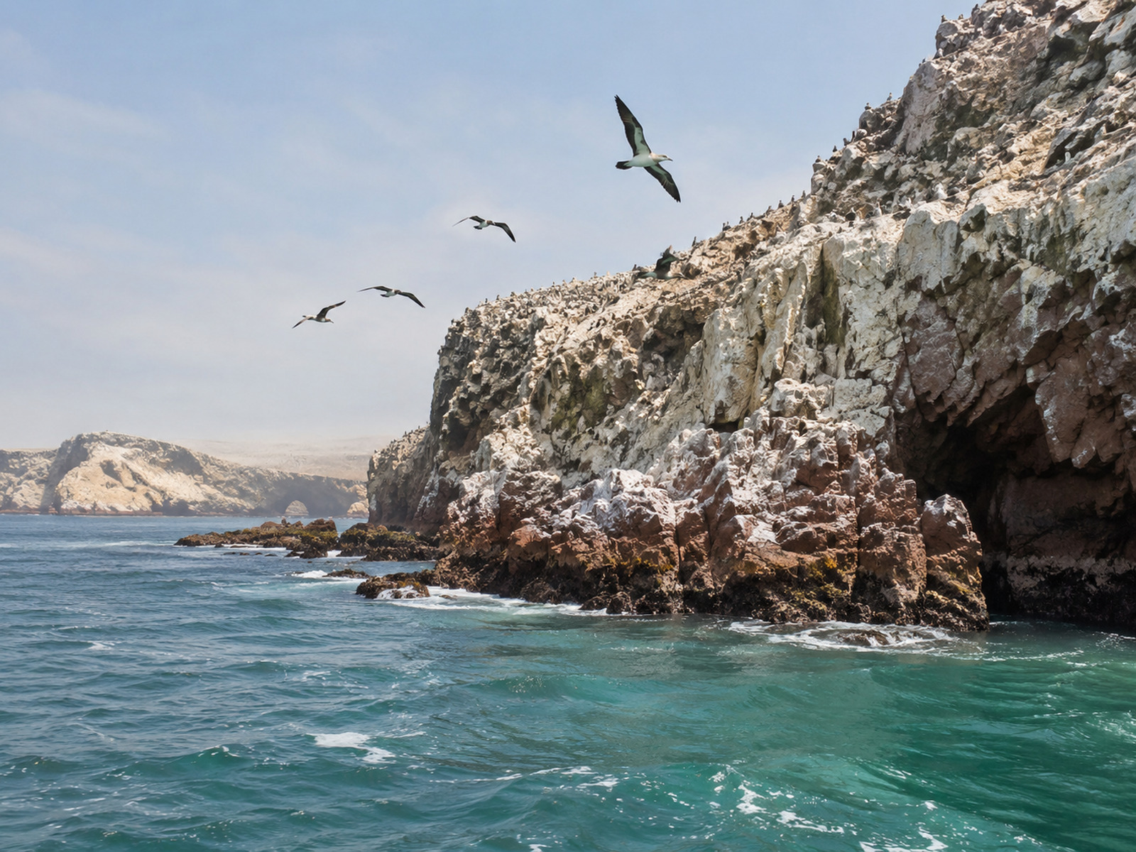 Islas Ballestas desde Ica