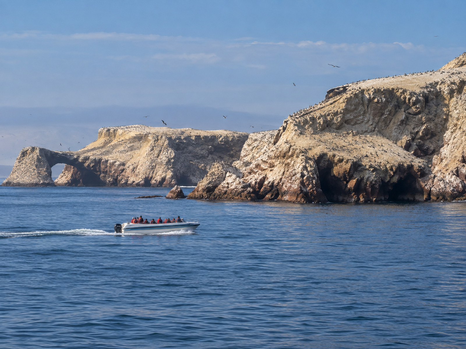 Islas Ballestas desde Ica