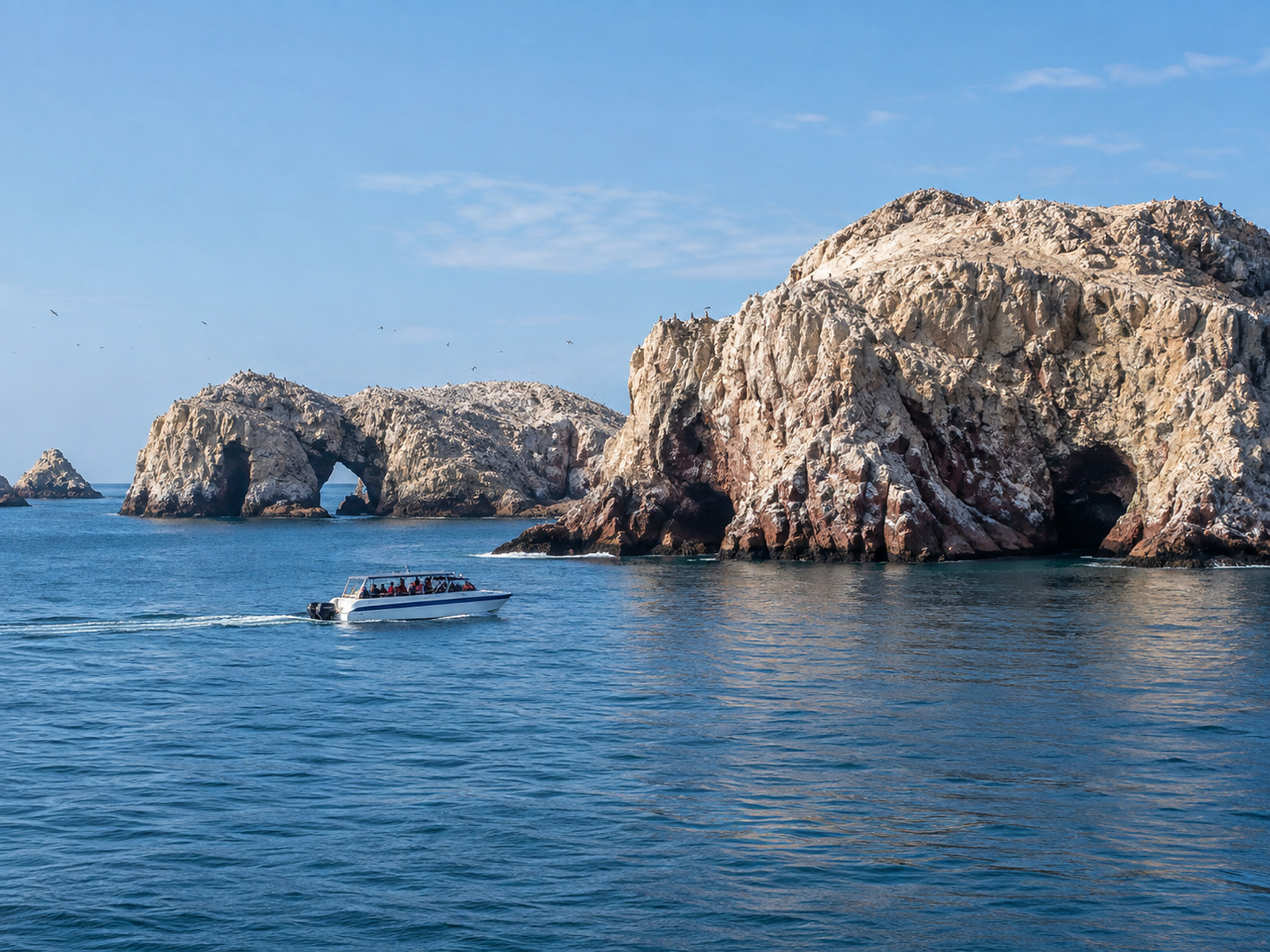 ISLAS BALLESTAS + RESERVA NACIONAL DE PARACAS