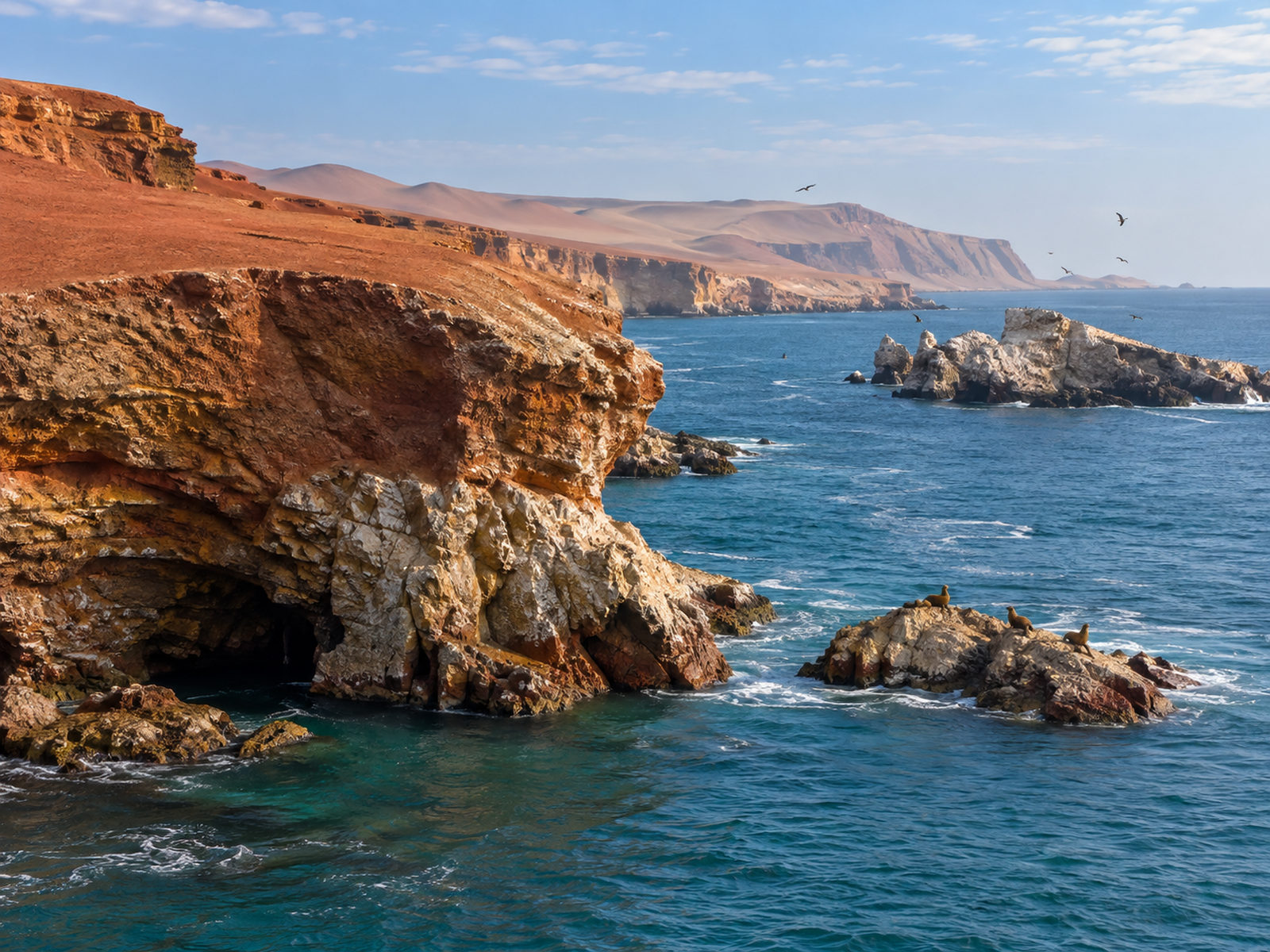 ISLAS BALLESTAS + RESERVA NACIONAL DE PARACAS