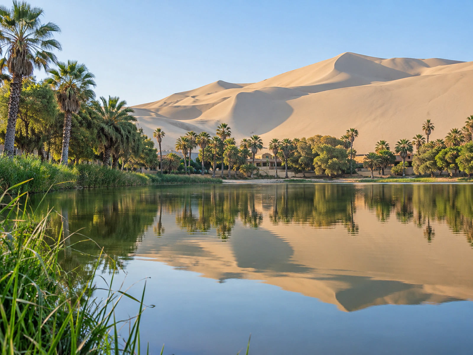 LAGUNA DE HUACACHINA Y TUBULARES DESDE PARACAS