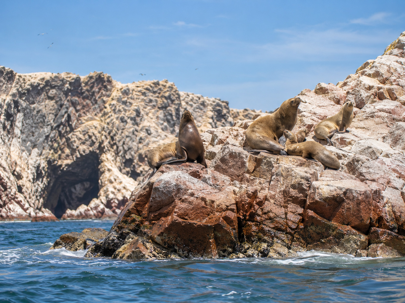 TOUR ISLAS BALLESTAS