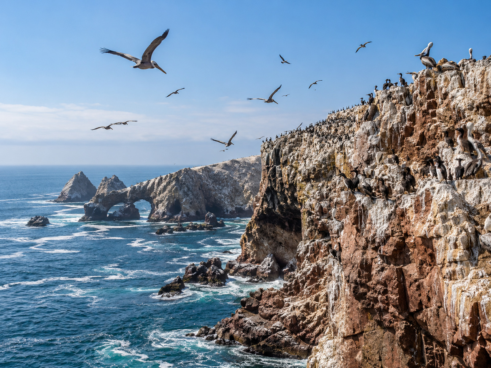 TOUR ISLAS BALLESTAS