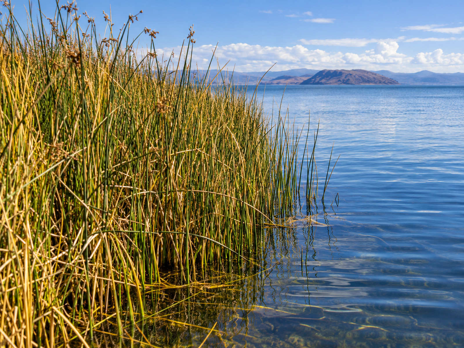 ISLAS FLOTANTES DE LOS UROS Y TAQUILE